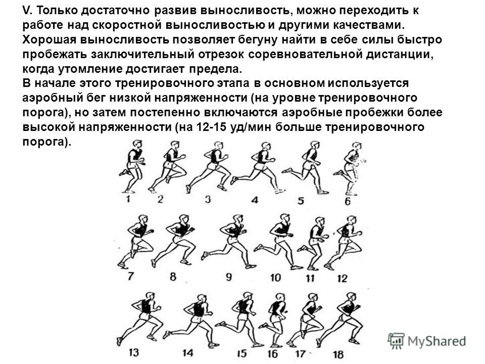 Развиваем выносливость в домашних условиях Развиваем выносливость в домашних условиях