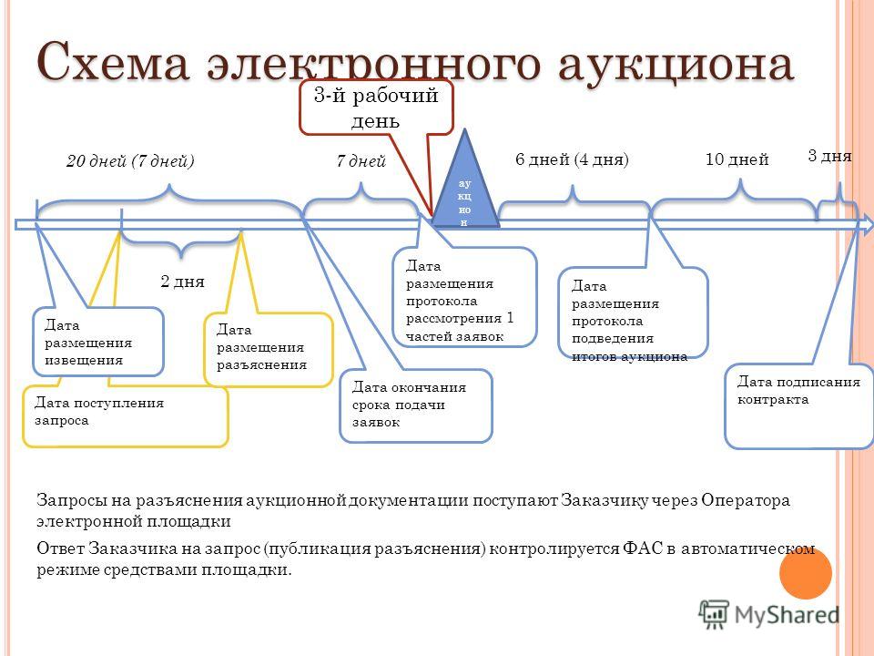 Схемы проведения торгов по 44-фз Схемы проведения торгов по 44-фз