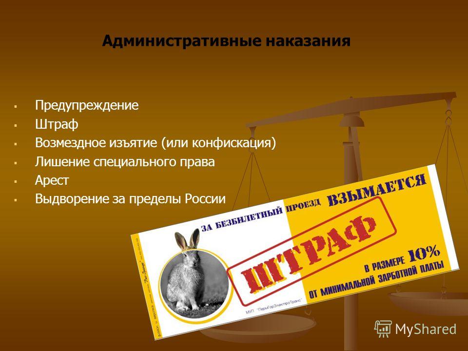 Конституционное Судопроизводство Презентация 11 Класс