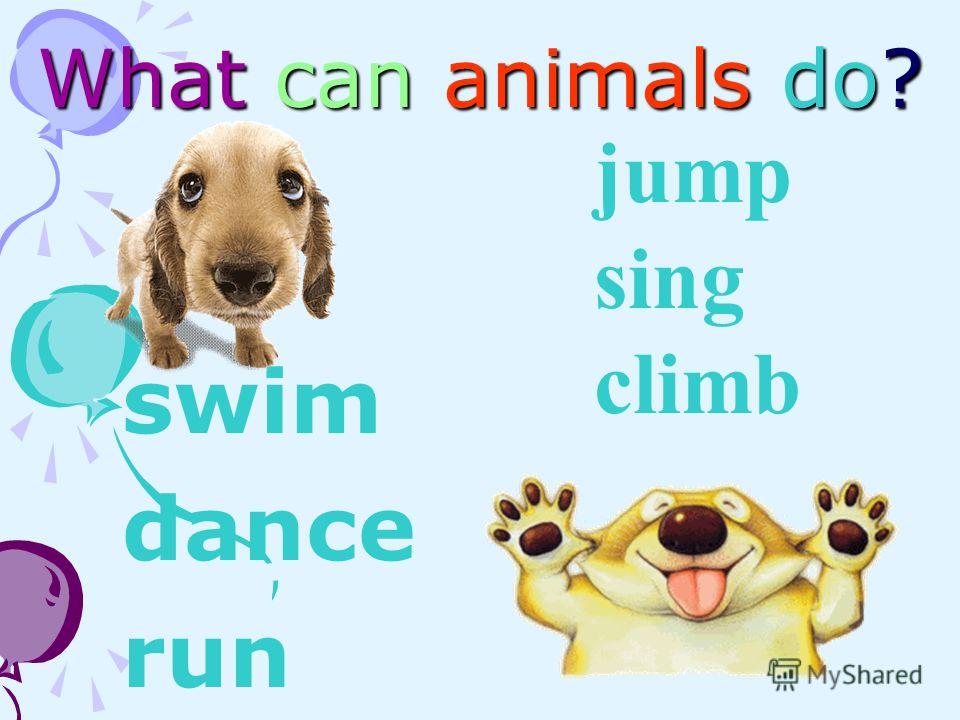 What can animals do? swim dance run jump sing climb