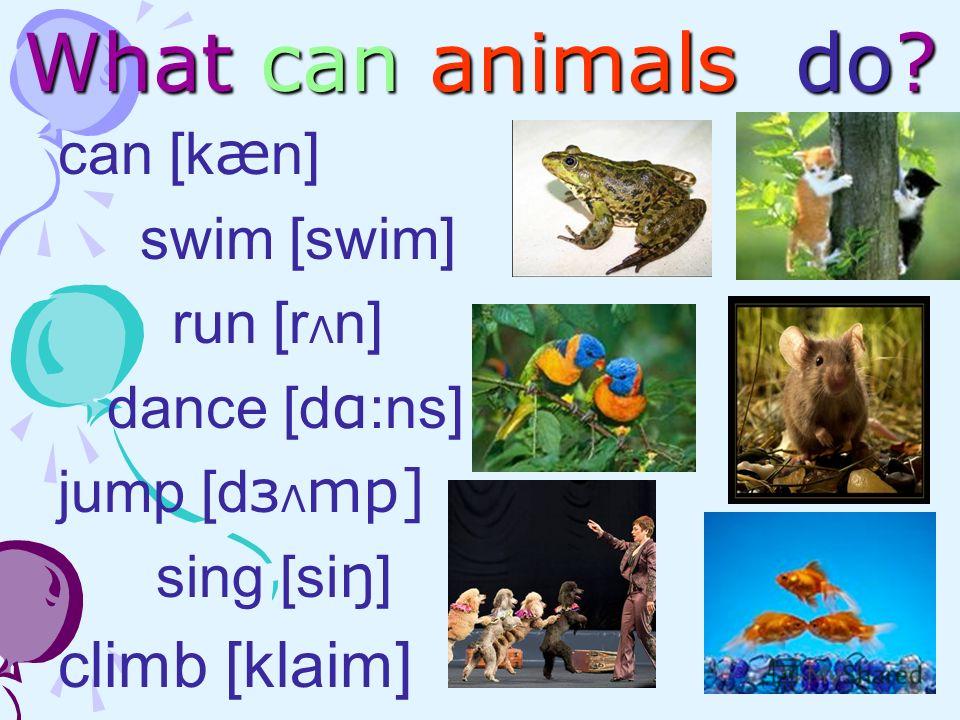 What can animals do? can [k æ n] swim [swim] run [r Λ n] dance [d α :ns] jump [d з Λ mp] sing [si ŋ ] climb [klaim]