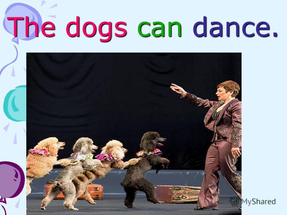 The dogs can dance.