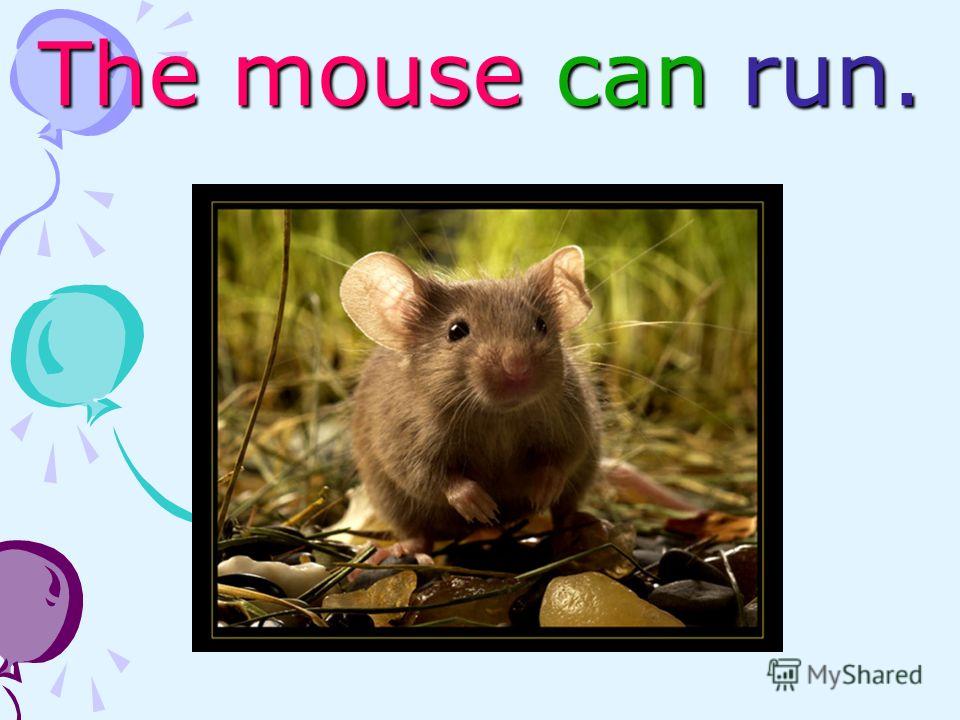The mouse can run.