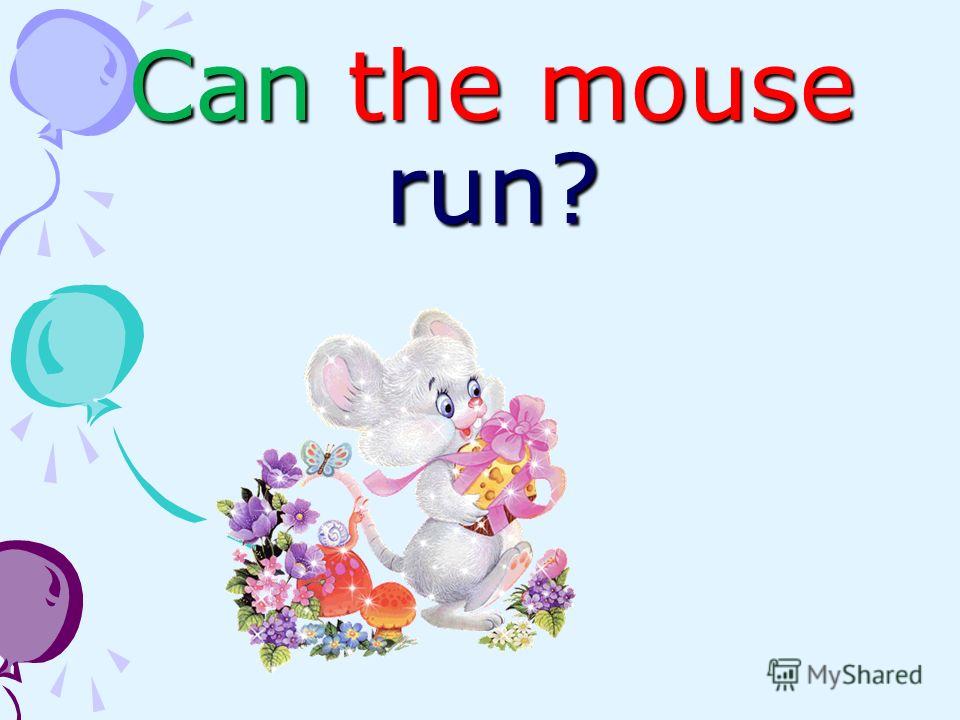Can the mouse run?