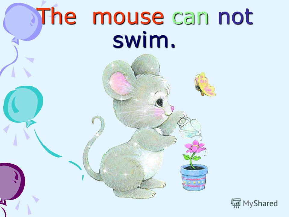 The mouse can not swim.