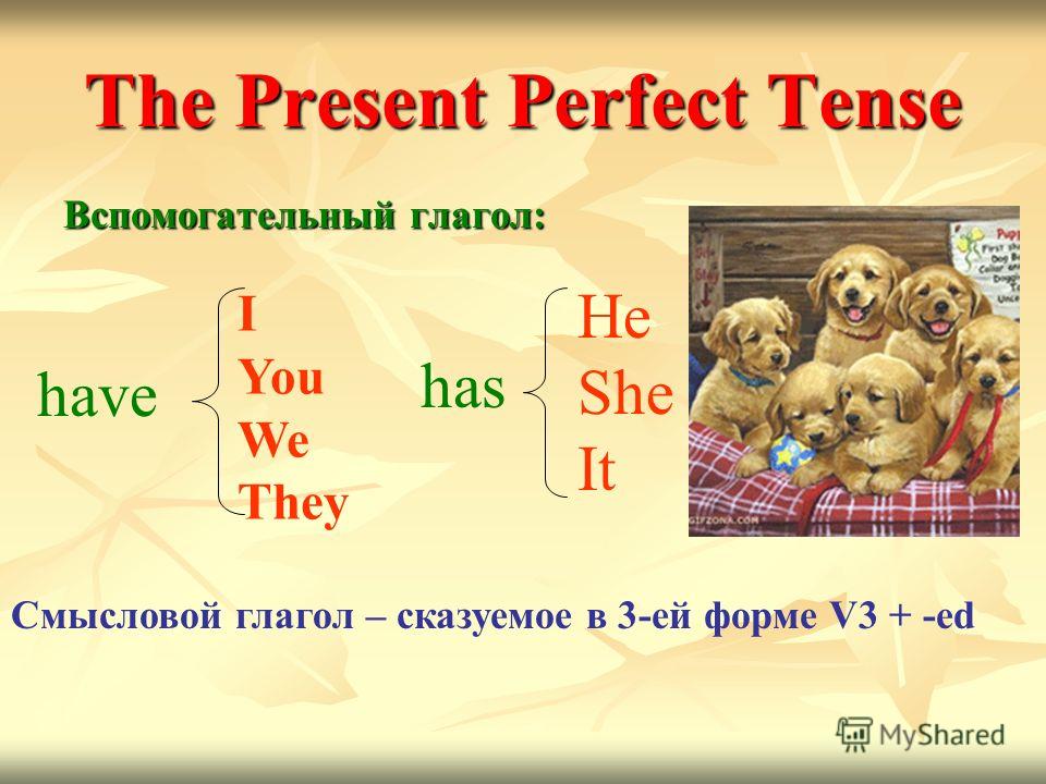 The Present Perfect Tense Вспомогательный глагол: I You We They have has He She It Смысловой глагол – сказуемое в 3-ей форме V3 + -ed