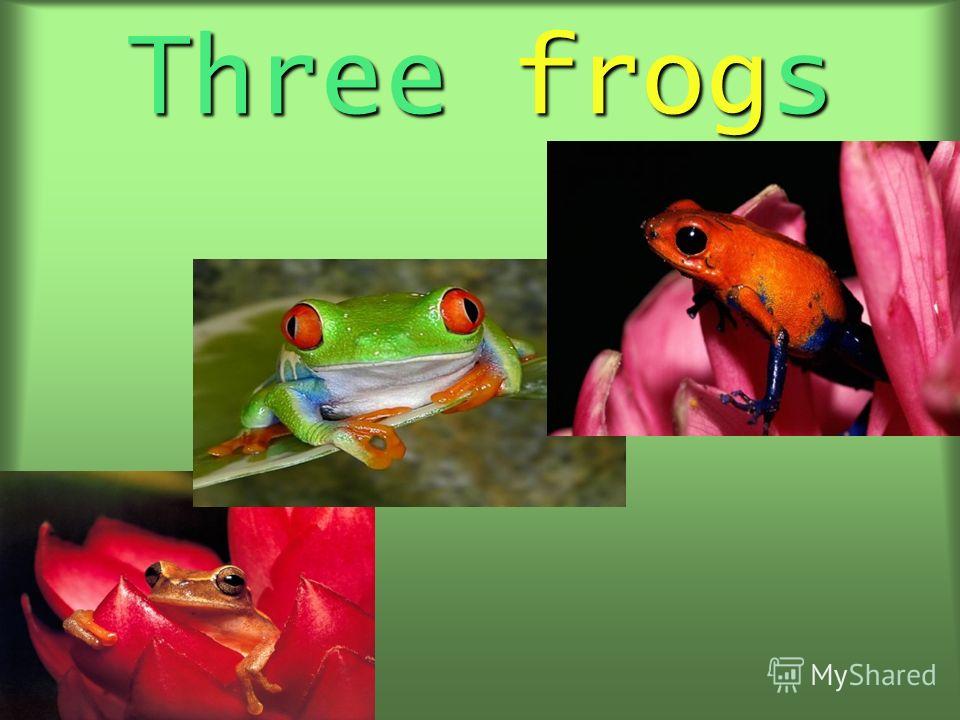 Three frogs