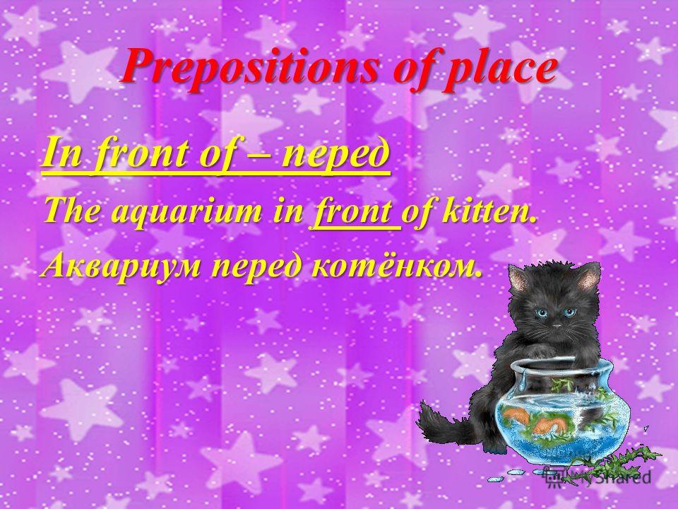 Prepositions of place In front of – перед The aquarium in front of kitten. Аквариум перед котёнком.