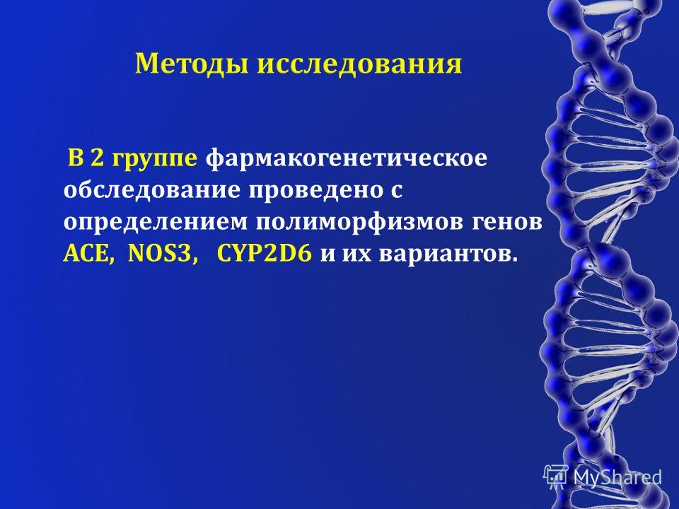 В 2 группе фармакогенетическое обследование проведено с определением полиморфизмов генов АСЕ, NOS3, CYP2D6 и их вариантов.