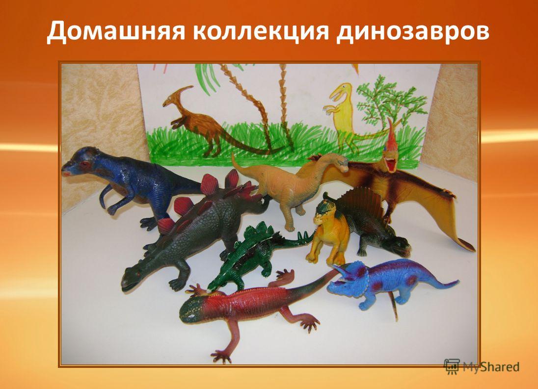 Домашняя коллекция динозавров