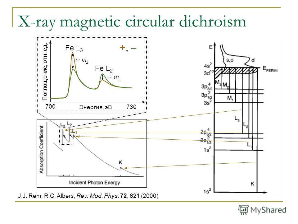 X-ray magnetic circular dichroism J.J. Rehr, R.C. Albers, Rev. Mod. Phys. 72, 621 (2000) 700 730 Энергия, эВ +, – Поглощение, отн. ед. Fe L 3 Fe L 2