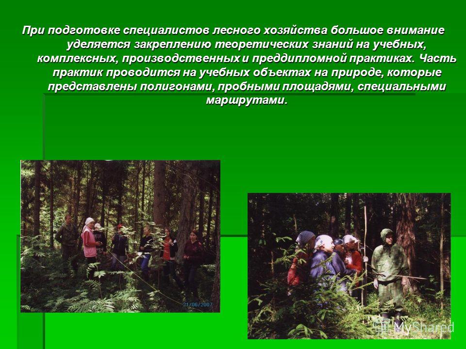 При подготовке специалистов лесного хозяйства большое внимание уделяется закреплению теоретических знаний на учебных, комплексных, производственных и преддипломной практиках. Часть практик проводится на учебных объектах на природе, которые представле
