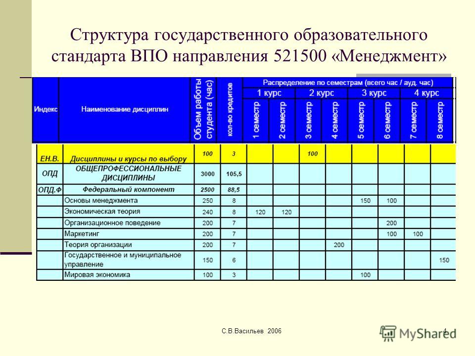 С.В.Васильев 20064 Структура государственного образовательного стандарта ВПО направления 521500 «Менеджмент»