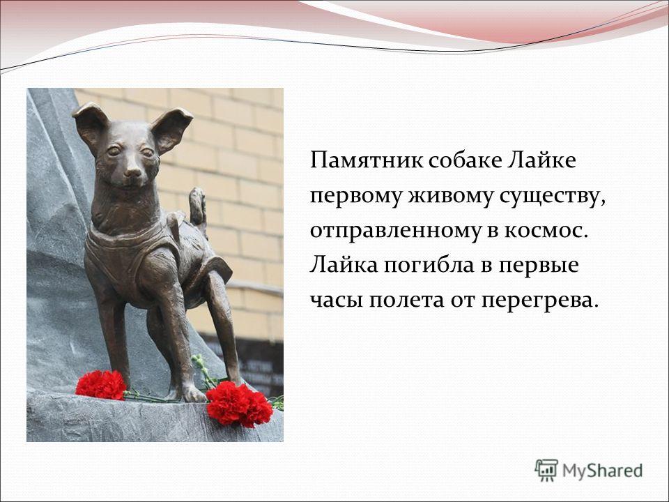 Памятник собаке Лайке первому живому существу, отправленному в космос. Лайка погибла в первые часы полета от перегрева.