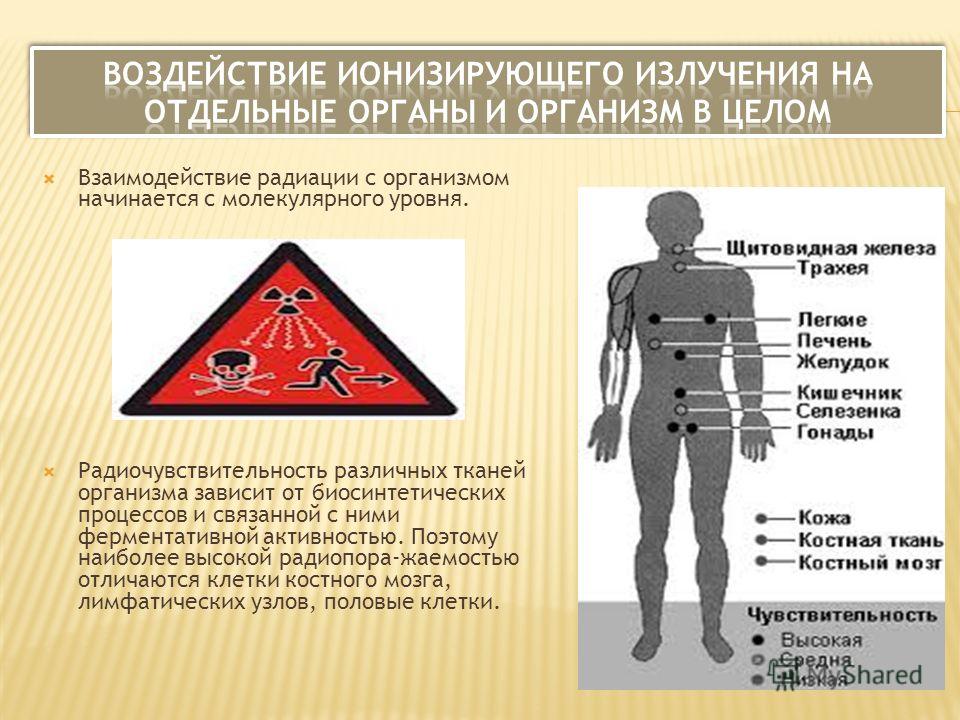 Схемы ионизирующего излучения Схемы ионизирующего излучения