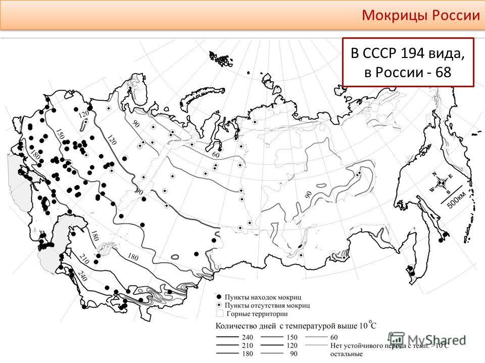 Мокрицы России В СССР 194 вида, в России - 68