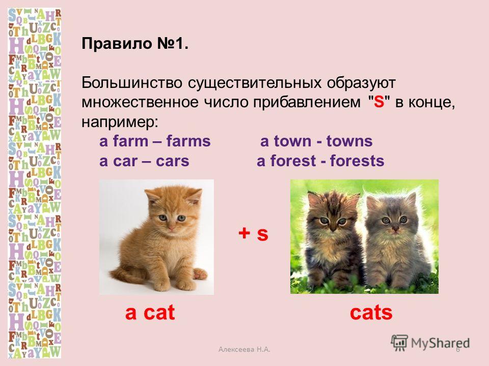 Правило 1. Большинство существительных образуют множественное число прибавлением S в конце, например: a farm – farms a town - towns a car – cars a forest - forests + s a cat cats 6Алексеева Н.А.