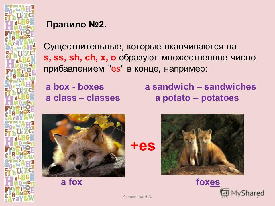 Правило 2. Существительные, которые оканчиваются на s, ss, sh, ch, x, o образуют множественное число прибавлением es в конце, например: a box - boxes a sandwich – sandwiches a class – classes a potato – potatoes +es a fox foxes 7Алексеева Н.А.