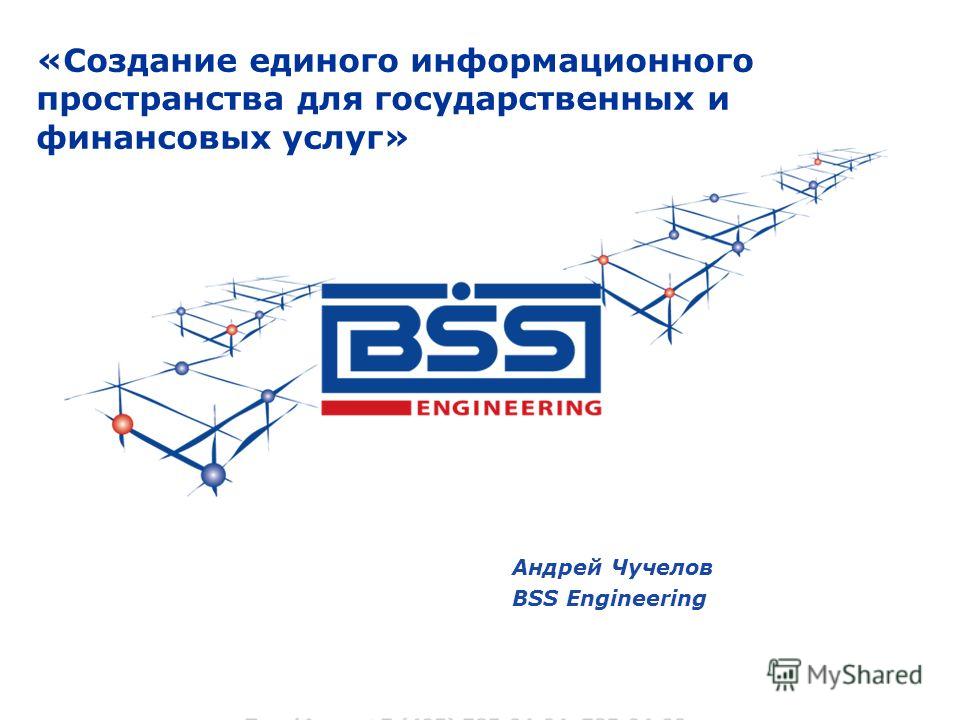 Андрей Чучелов BSS Engineering «Создание единого информационного пространства для государственных и финансовых услуг»