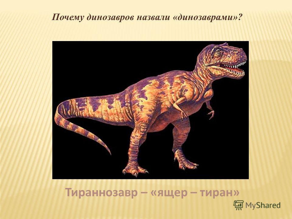 Почему динозавров назвали «динозаврами»? Тираннозавр – «ящер – тиран»