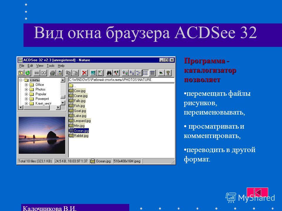 Кадочникова В.И. Вид окна браузера ACDSee 32 Программа - каталогизатор позволяет перемещать файлы рисунков, переименовывать, просматривать и комментировать, переводить в другой формат.