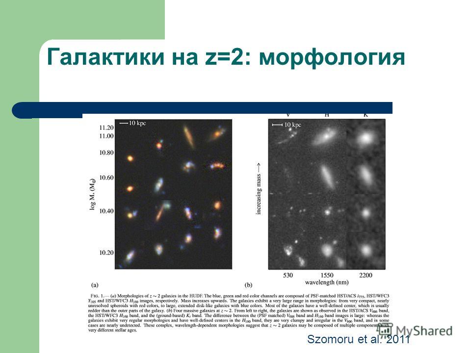 Галактики на z=2: морфология Szomoru et al. 2011