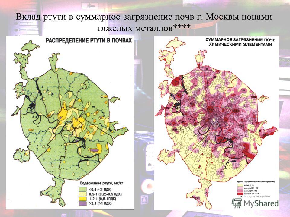 Вклад ртути в суммарное загрязнение почв г. Москвы ионами тяжелых металлов****