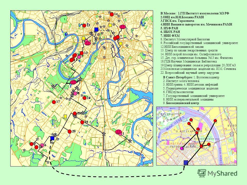 Ветеринарная клиника в спб фрунзенского района