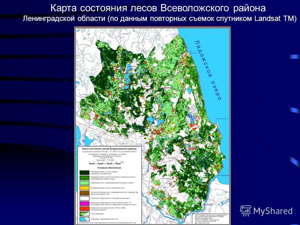 Карта состояния лесов Всеволожского района Ленинградской области (по данным повторных съемок спутником Landsat TM)