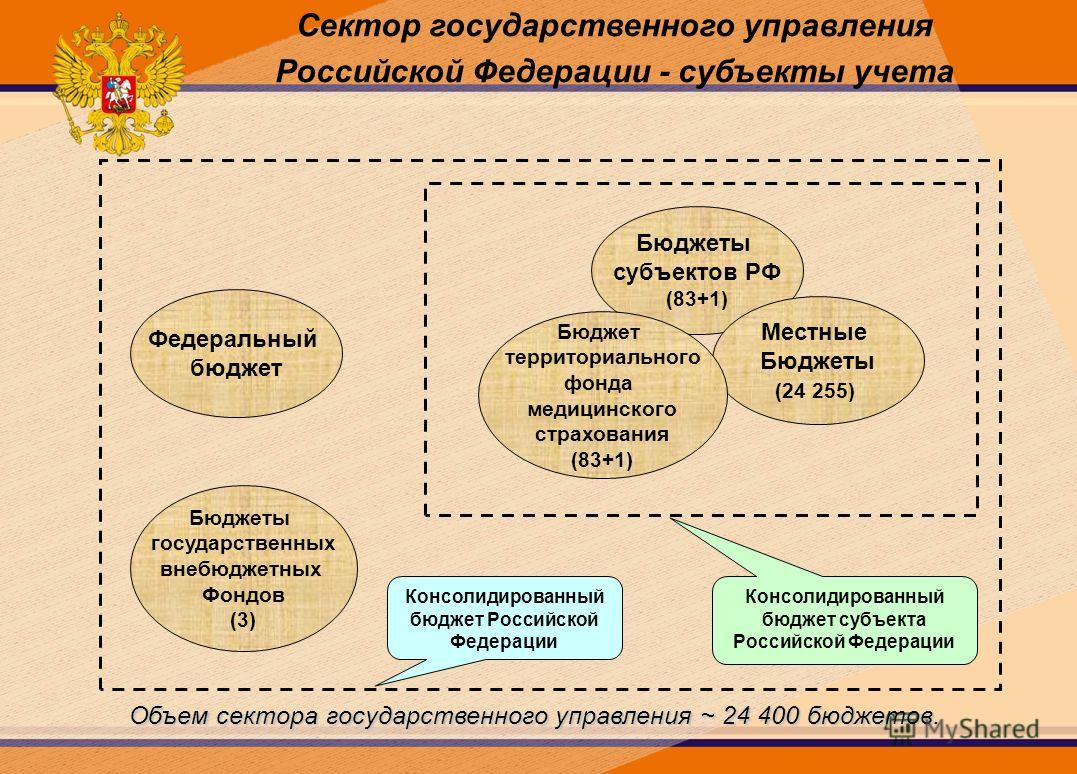 Федеральный бюджет Бюджеты субъектов РФ (83+1) Местные Бюджеты (24 255) Бюджет территориального фонда медицинского страхования (83+1) Бюджеты государственных внебюджетных Фондов (3) Консолидированный бюджет субъекта Российской Федерации Консолидирова