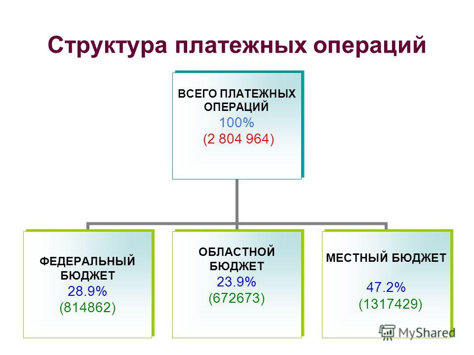 Структура платежных операций ВСЕГО ПЛАТЕЖНЫХ ОПЕРАЦИЙ 100% (2 804 964) ФЕДЕРАЛЬНЫЙ БЮДЖЕТ 28.9% (814862) ОБЛАСТНОЙ БЮДЖЕТ 23.9% (672673) МЕСТНЫЙ БЮДЖЕТ 47.2% (1317429)