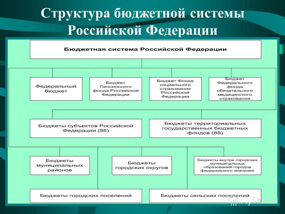 Структура бюджетной системы Российской Федерации