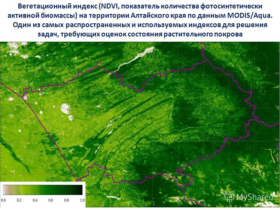 Вегетационный индекс (NDVI, показатель количества фотосинтетически активной биомассы) на территории Алтайского края по данным MODIS/Aqua. Один из самых распространенных и используемых индексов для решения задач, требующих оценок состояния растительно