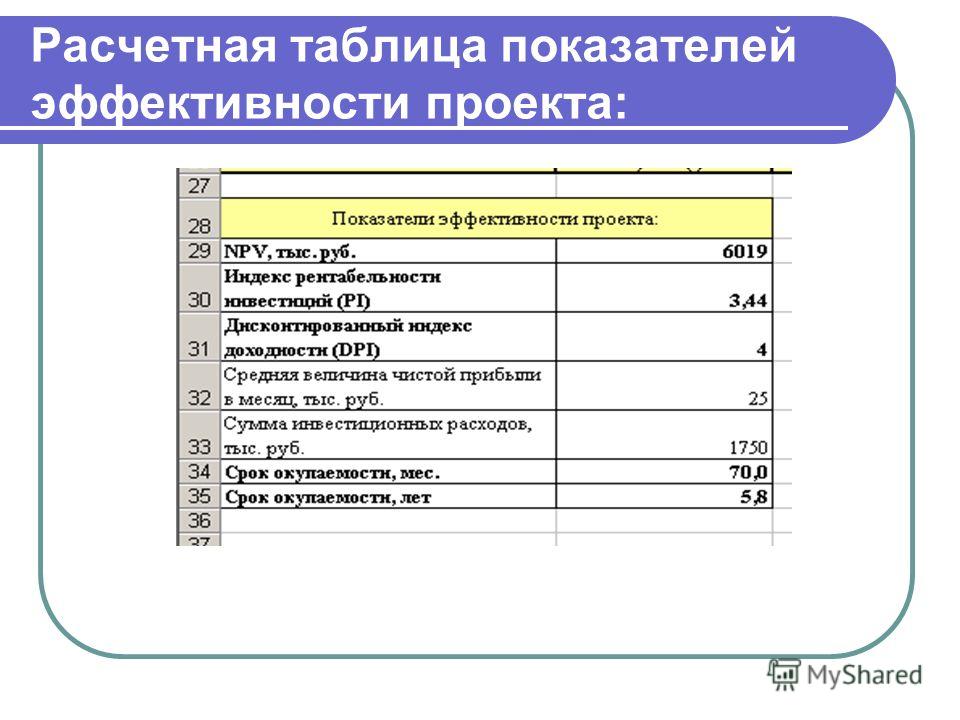 Расчетная таблица показателей эффективности проекта: