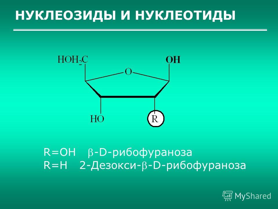 НУКЛЕОЗИДЫ И НУКЛЕОТИДЫ R=OH -D-рибофураноза R=H 2-Дезокси--D-рибофураноза