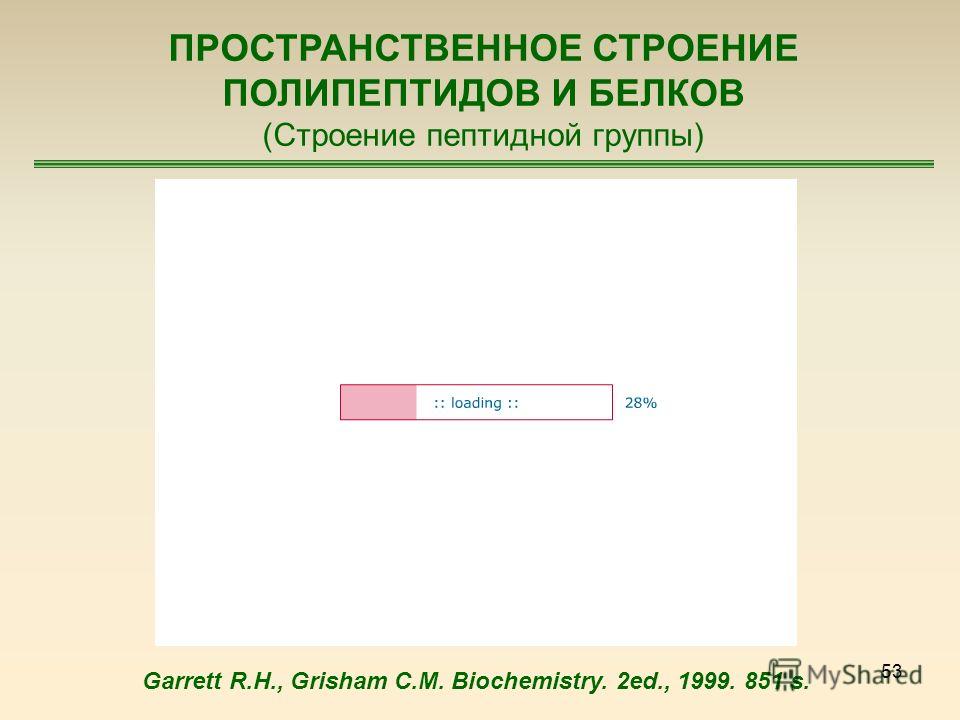 53 ПРОСТРАНСТВЕННОЕ СТРОЕНИЕ ПОЛИПЕПТИДОВ И БЕЛКОВ (Строение пептидной группы) Garrett R.H., Grisham C.M. Biochemistry. 2ed., 1999. 851 s.