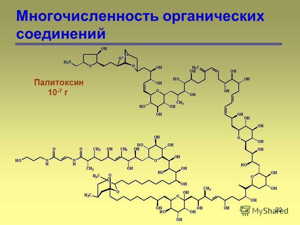22 Многочисленность органических соединений Палитоксин 10 -7 г