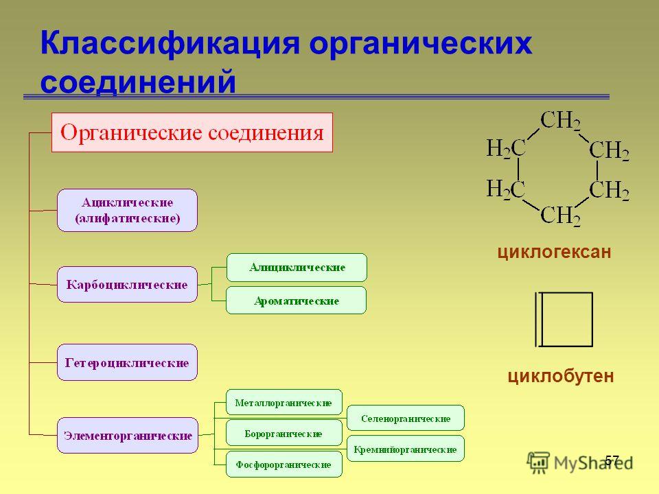 57 Классификация органических соединений циклогексан циклобутен