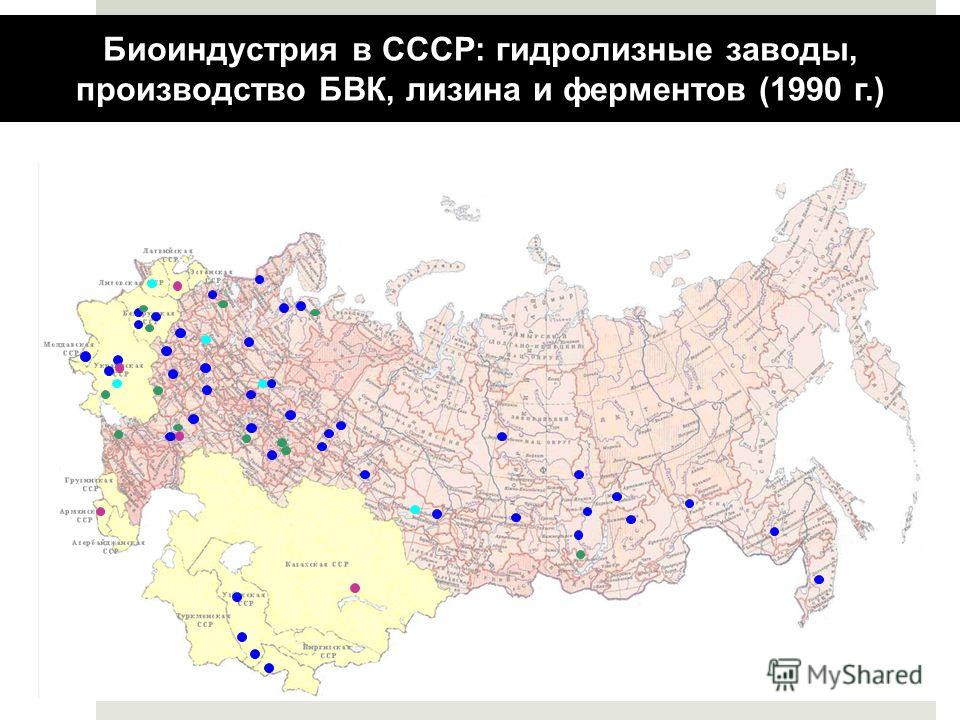 Биоиндустрия в СССР: гидролизные заводы, производство БВК, лизина и ферментов (1990 г.)