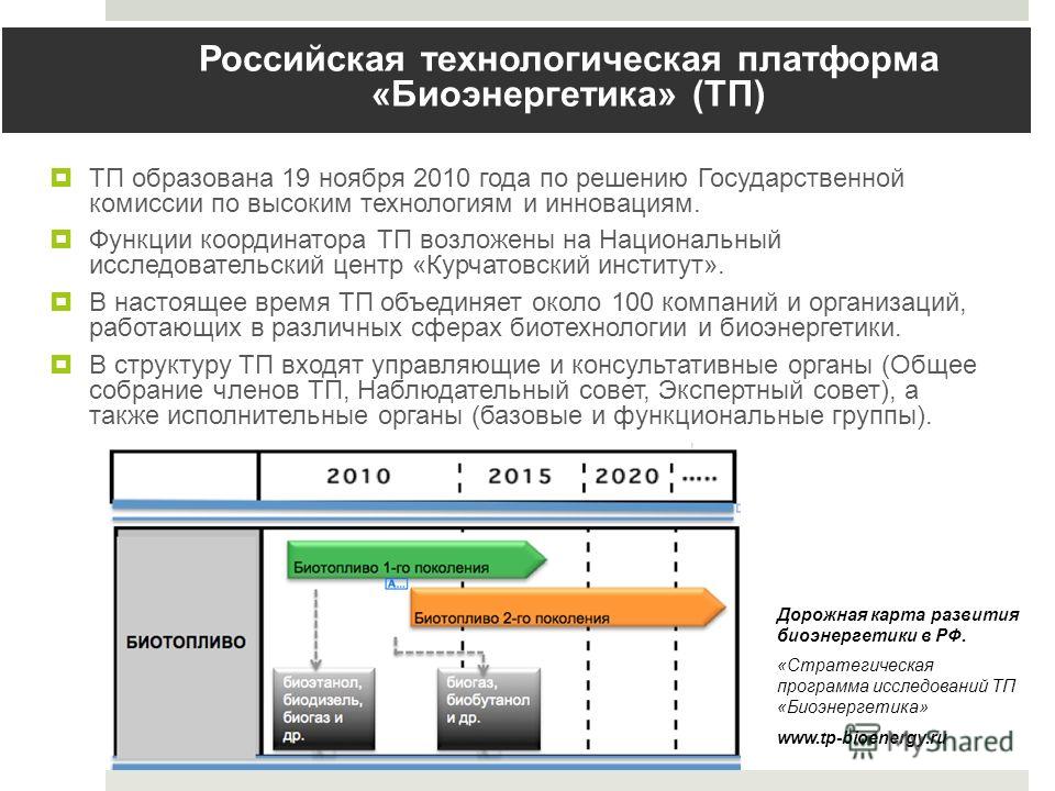 Российская технологическая платформа «Биоэнергетика» (TП) ТП образована 19 ноября 2010 года по решению Государственной комиссии по высоким технологиям и инновациям. Функции координатора ТП возложены на Национальный исследовательский центр «Курчатовск