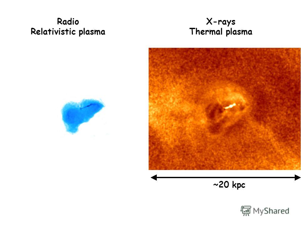 ~20 kpc Radio Relativistic plasma X-rays Thermal plasma