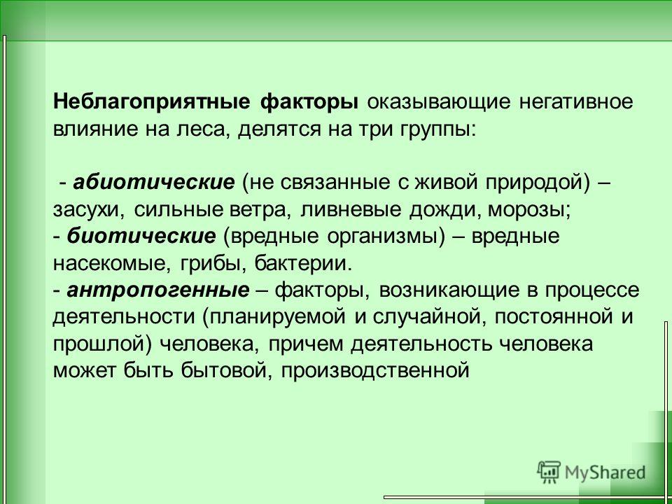 Контрольная работа по теме Защита и охрана леса