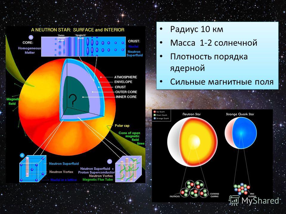 Радиус 10 км Масса 1-2 солнечной Плотность порядка ядерной Сильные магнитные поля Радиус 10 км Масса 1-2 солнечной Плотность порядка ядерной Сильные магнитные поля