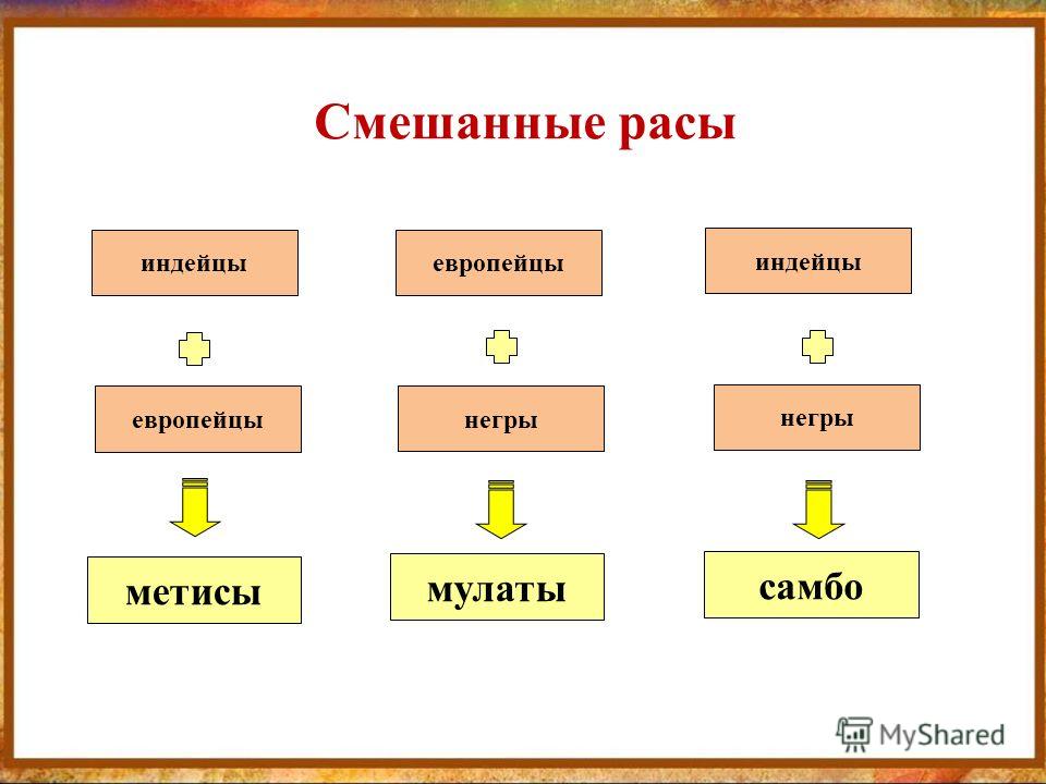 Человеческие расы схема