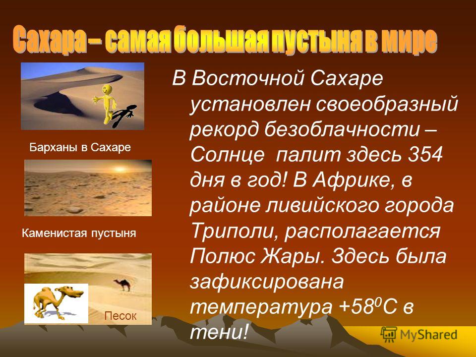 Как можно сделать проект про пустыню