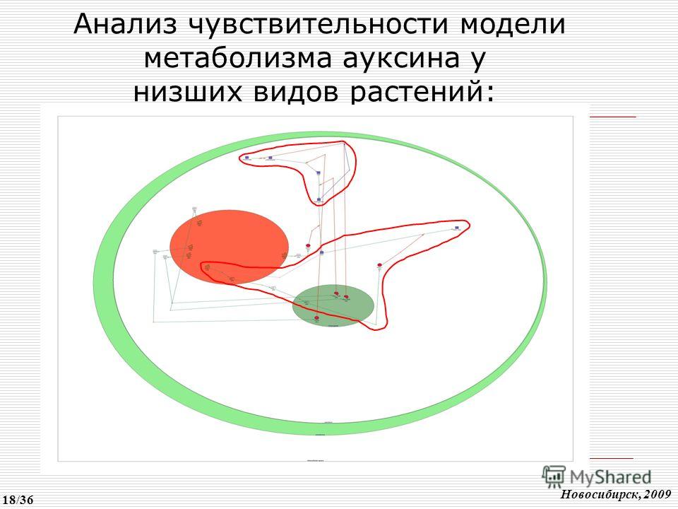 Анализ чувствительности модели метаболизма ауксина у низших видов растений: Новосибирск, 2009 18/36