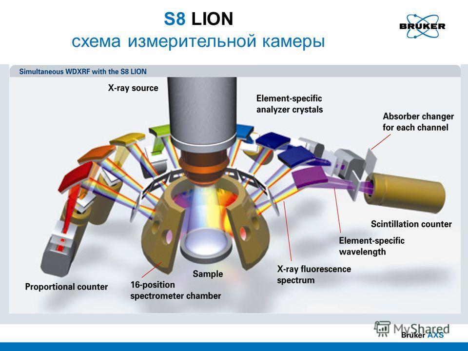 S8 LION схема измерительной камеры