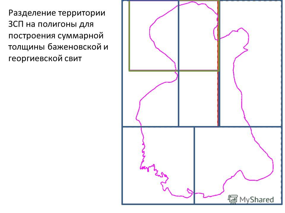 Разделение территории ЗСП на полигоны для построения суммарной толщины баженовской и георгиевской свит