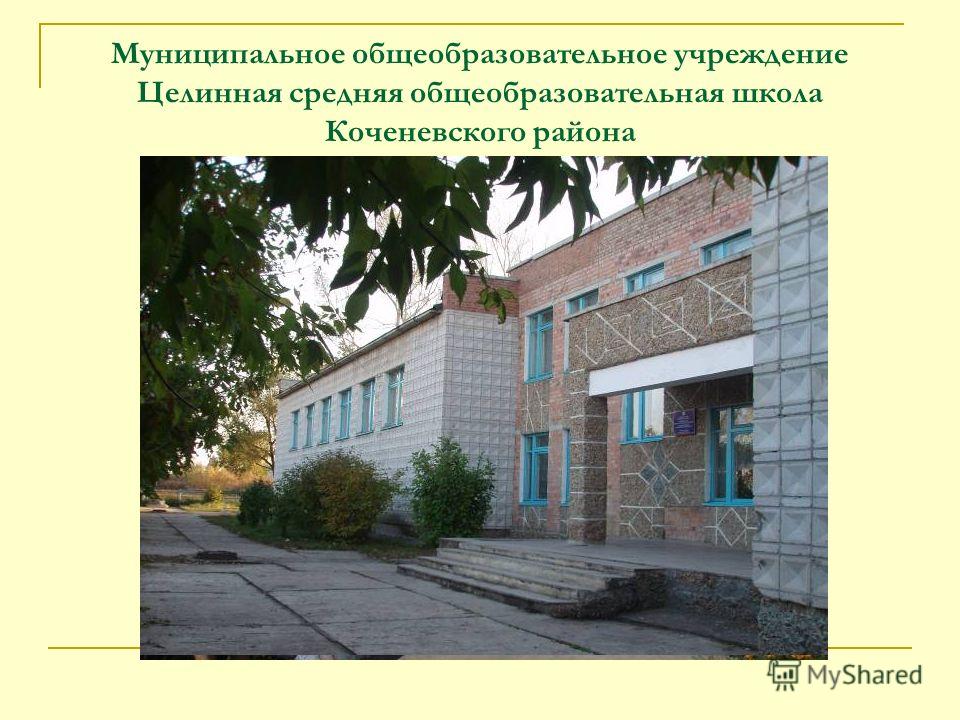 Муниципальное общеобразовательное учреждение Целинная средняя общеобразовательная школа Коченевского района