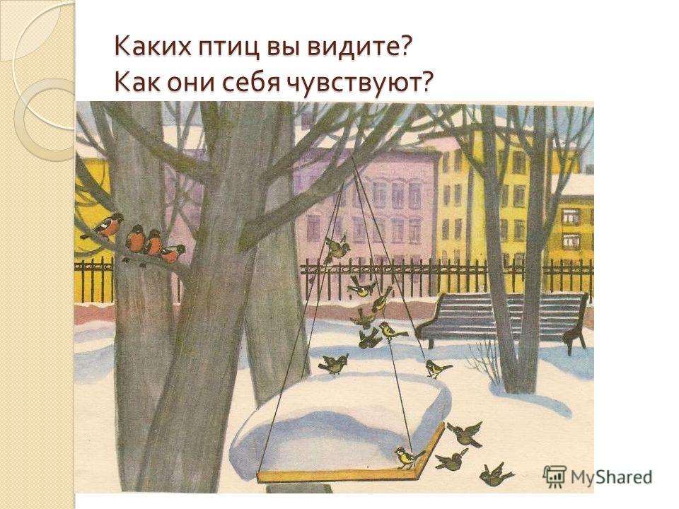 Сочинение По Серии Картинок 4 Класс Сочинение По Серии Картинок 4 Класс